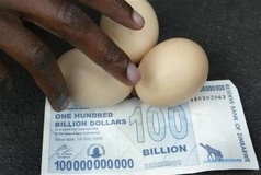 zimbabwe-hundred-billion-dollars-and-eggs zimbabwe-hundred-billion-dollars-and-eggs