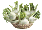 finocchi_icona finocchi_icona