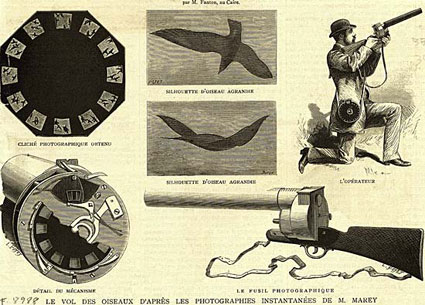 fotofucile-disegno