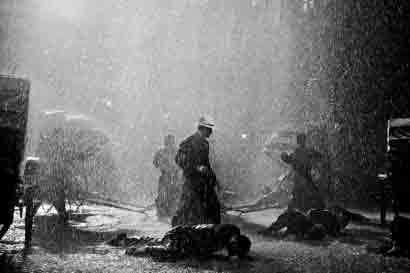 the-grandmaster_img Yi dai zong shi | The Grandmaster directed by Wong Kar Wai