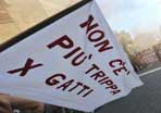 icona-trippa-per-gatti