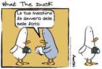 what-the-duck