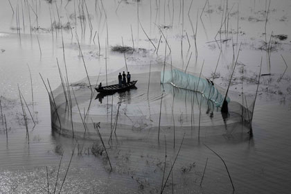 Rete da pesca nella regione di Dacca Bangladesh 23° 43’ N - 90° 20’ E © Yann Arthus-Bertrand