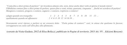 clicca sull'immagine per leggere un estratto da Visita Guidata di Elisa Bollazzi clicca sull'immagine per leggere un estratto da Visita Guidata di Elisa Bollazzi