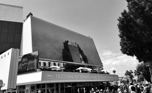 Photo: MaSeDomani