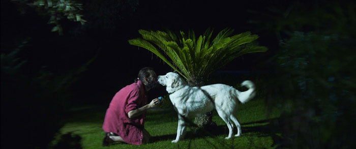 Una scena di Afterlov - Photo: courtesy of Festival del film Locarno