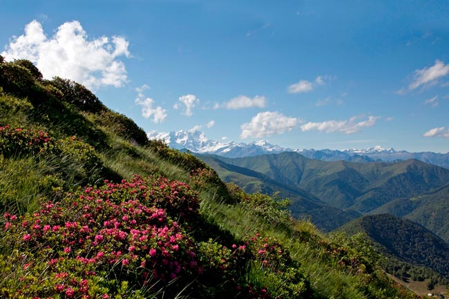 3° Giornata del Panorama - Oasi Zegna