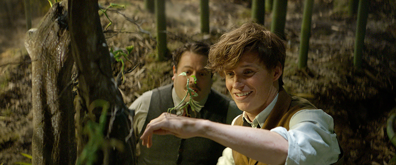 Dan Fogler e Eddie Redmayne in Animali Fantastici e Dove Trovarli - Photo: courtesy of Warner Bros. Pictures