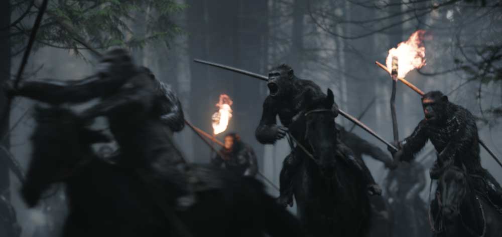 Un'immagine di The War - Il Pianeta delle Scimmie - Photo: courtesy of 20th Century Fox Italia
