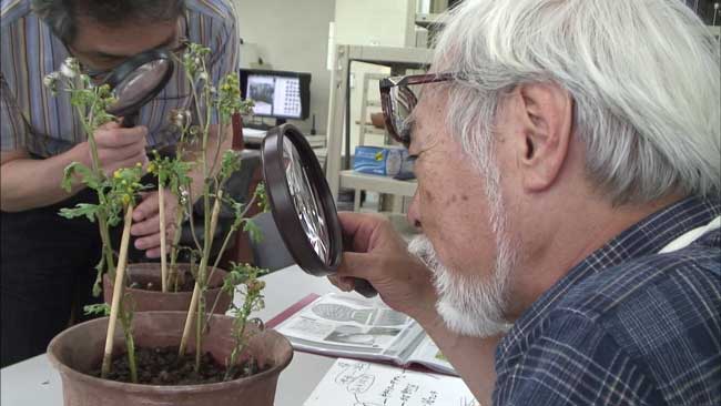 Hayao Miyazaki in una scena del film Never Ending Man - Photo: courtesy of Nexo Digital Hayao Miyazaki in una scena del film Never Ending Man - Photo: courtesy of Nexo Digital