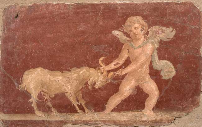 Erote e caprone Ercolano, I secolo d.C. Intonaco dipinto 30 x 40 x 5 cm Museo Archeologico Nazionale, Napoli Ercolano e Pompei: Erote e caprone