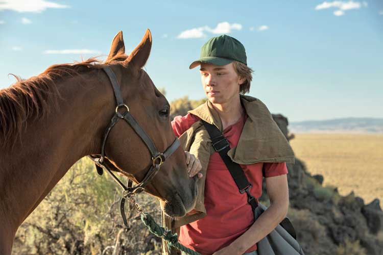 Charlie Plummer in una scena del film Charley Thompson - Photo: courtesy of Teodora Film Charlie Plummer in una scena del film Charley Thompson - Photo: courtesy of Teodora Film