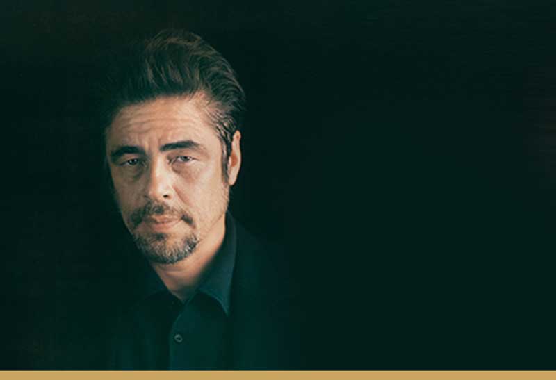 Benicio Del Toro sarà presidente della giuria di Un Certain Regard © Myrna Suare Benicio Del Toro sarà presidente della giuria di Un Certain Regard - Foto di Myrna Suare