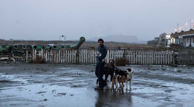 una scena del film Dogman - Photo: courtesy of 01 Distribution una scena del film Dogman - Photo: courtesy of 01 Distribution