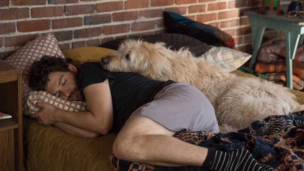 una scena del film Dog Days - Photo: courtesy of Notorious Pictures una scena del film Dog Days - Photo: courtesy of Notorious Pictures