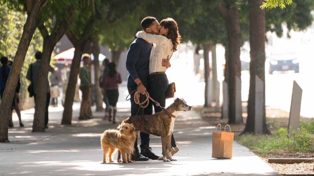 una scena del film Dog Days - Photo: courtesy of Notorious Pictures una scena del film Dog Days - Photo: courtesy of Notorious Pictures