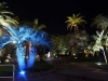 10-cannes