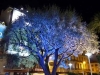 11-cannes