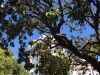 Cannes 2016 - Around the city