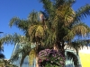 Cannes 2016 - Le Palais_3