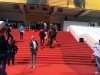 Cannes 2016 - Montée des Marches_2