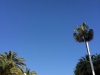 Cannes 2016 - Montée des Marches_le ciel