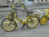 locarno2012_11