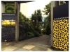 Locarno67 e i suoi eventi © MaSeDomani