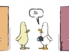 wtd539