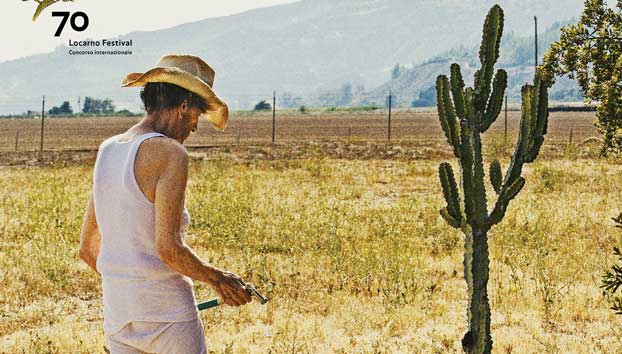lucky film icona
