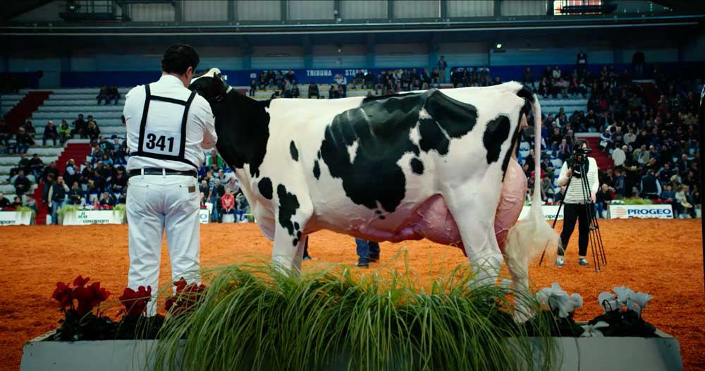 L'esposizione di una mucca geneticamente modificata in una scena del film - Photo: courtesy of Movieday L'esposizione di una mucca geneticamente modificata in una scena del film - Photo: courtesy of Movieday