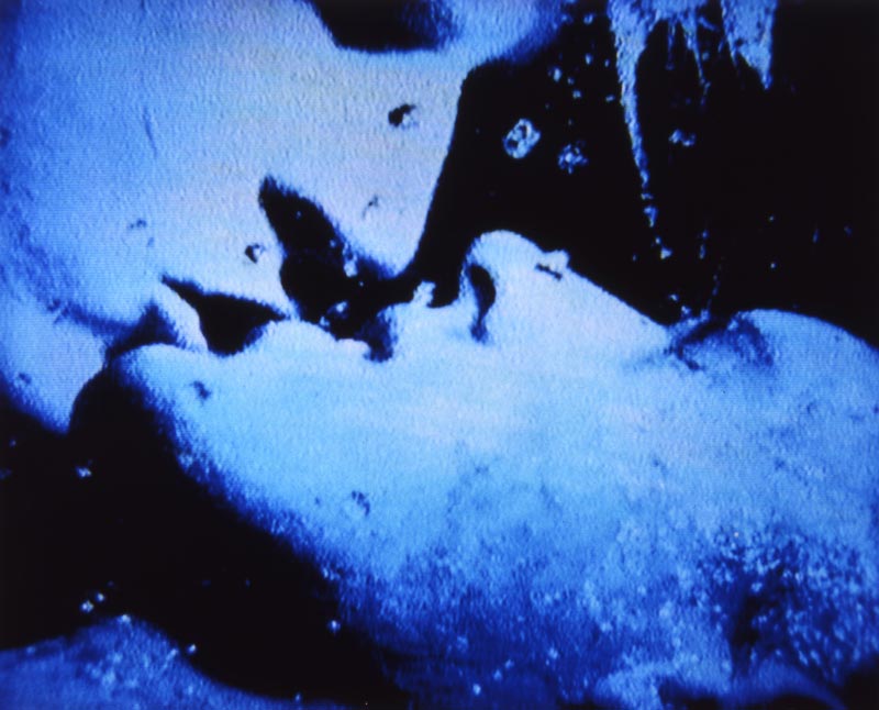 Self-Portrait in 23 Rounds: a Chapter in David Wojnarowicz’s Life, 1989–1991 © Marion Scemama Film Self-Portrait in 23 Rounds: a Chapter in David Wojnarowicz’s Life, 1989–1991