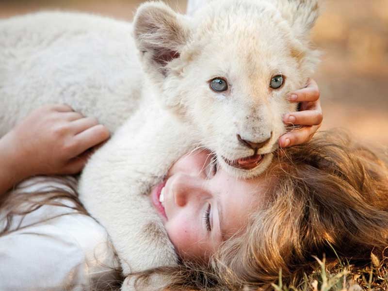 Marzo in Cineteca: il film Mia e il leone bianco Marzo in Cineteca: il film Mia e il leone bianco