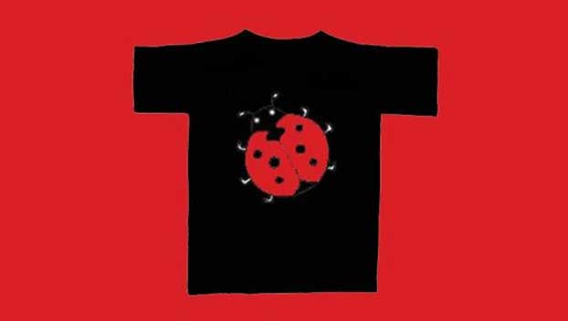 romanzo Le coccinelle non hanno paura