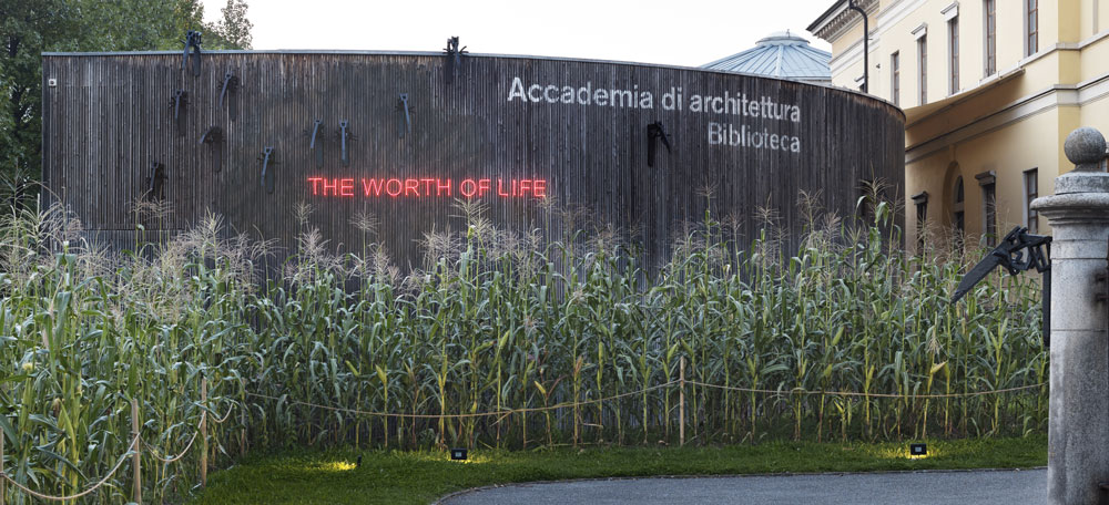 Koen Vanmechelen. The Worth of Life 1982/2019 - Photo: © Enrico Cano Koen Vanmechelen. The Worth of Life 1982/2019 - Photo: © Enrico Cano