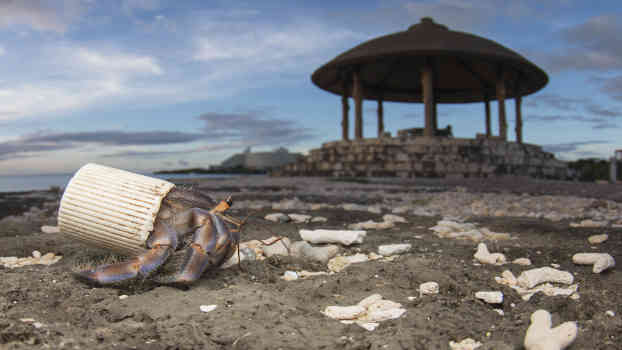 SHAWN MILLER, National Geographic, mostra Planet or Plastic