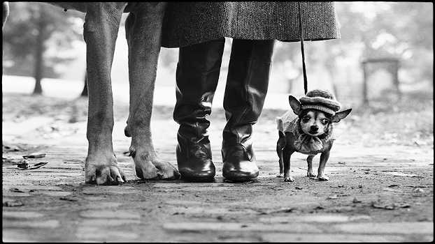 Elliott Erwitt, New York City, USA, 1974. © Elliott Erwitt