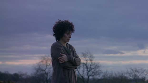 virginia film icona
