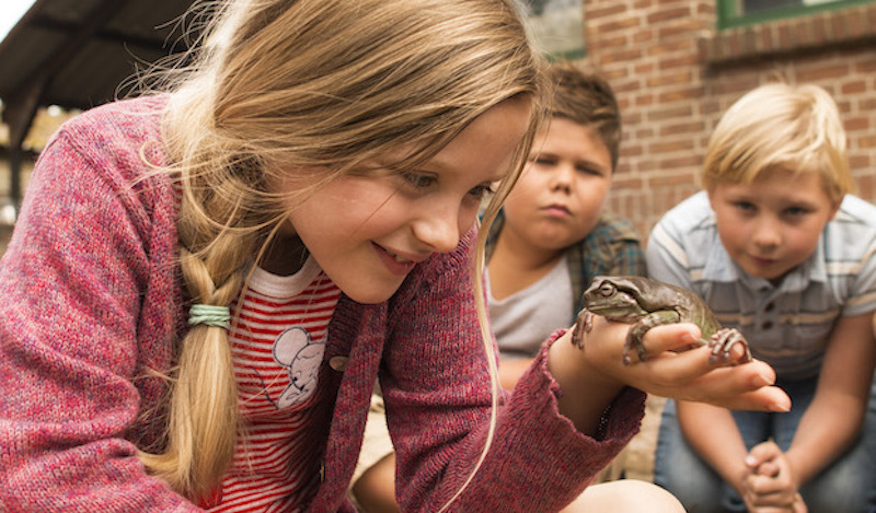 Mr Frog su Sky FAMILY FILM FESTIVAL